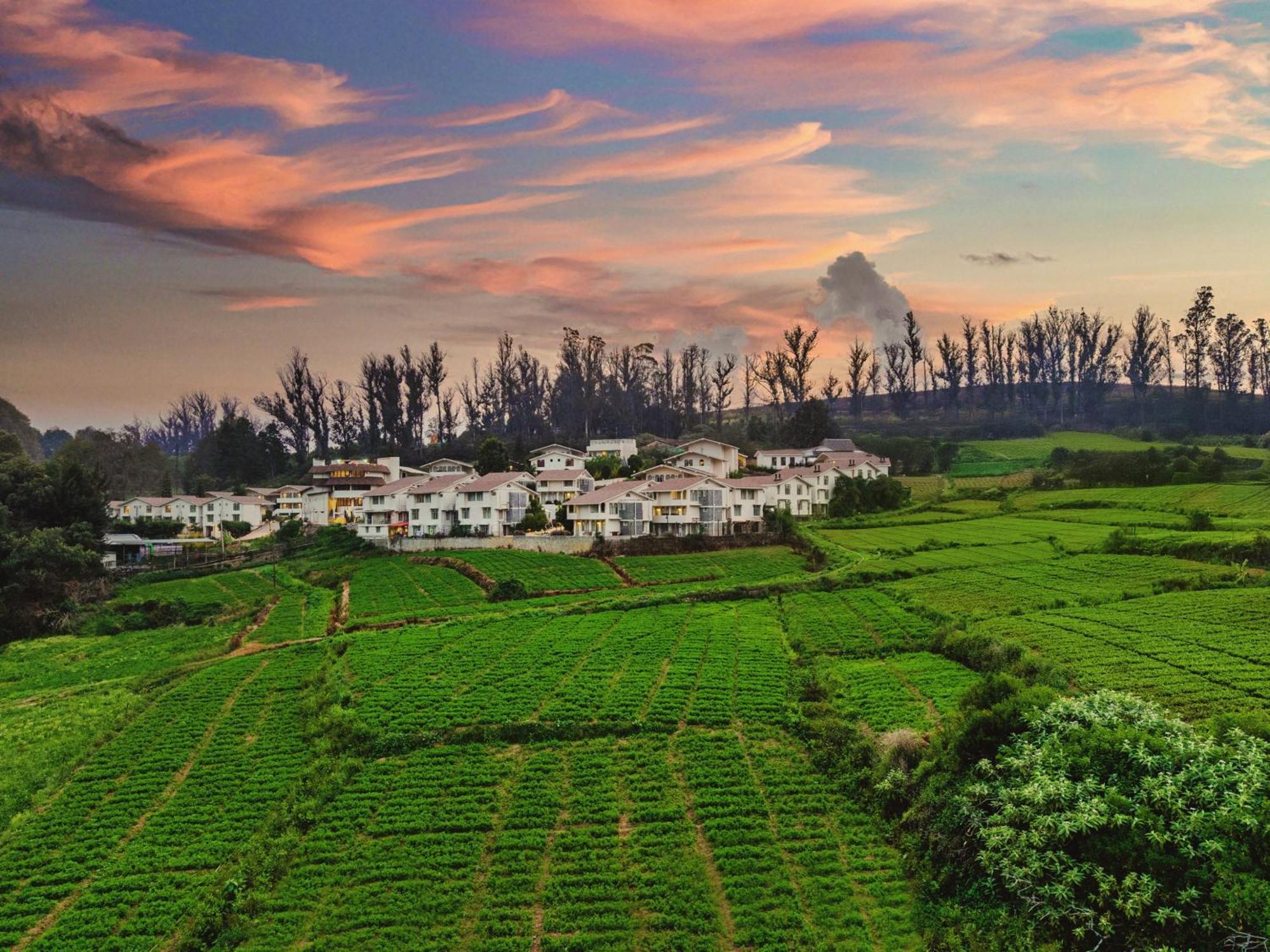 Mango Hill Shola Ooty Hotell Eksteriør bilde
